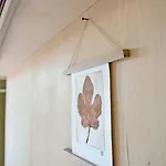 Cabin Primrose