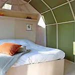 Cabin Primrose