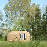Cabin Primrose